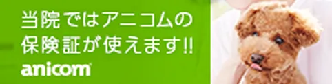 アニコムの保険証が使えます