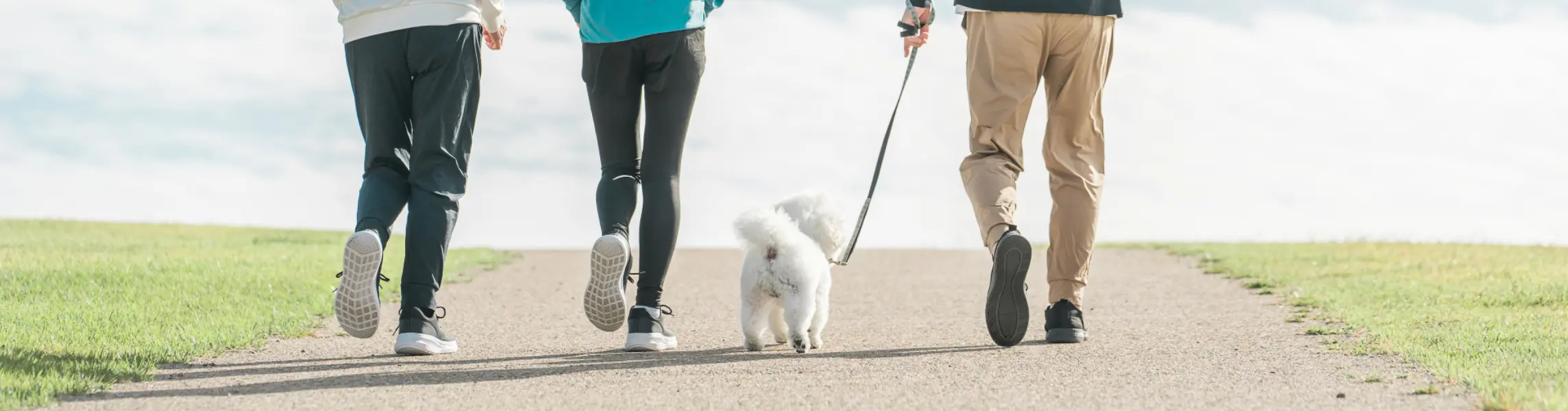 散歩中のわんちゃんと飼い主