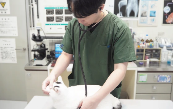 診察の様子