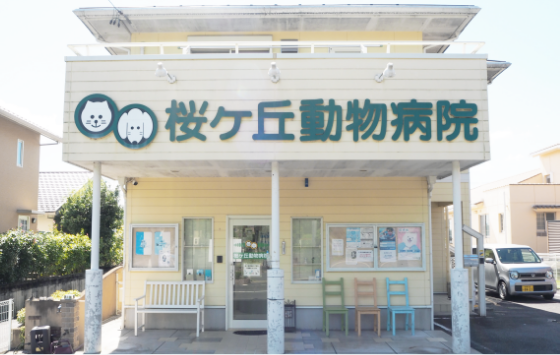 病院前駐車場